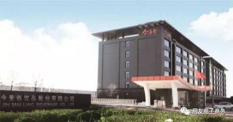 今麦郎饮品用友软件的信息化管理