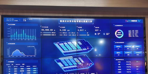 浙江市场 五化 标准落地 商品市场将全面数字化转型