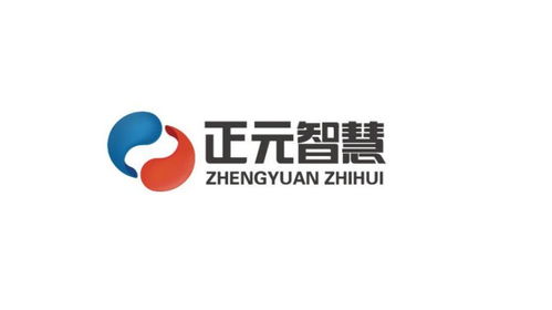 浙江正元智慧科技